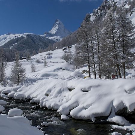 Hotel Garni Testa Grigia Zermatt Exterior foto