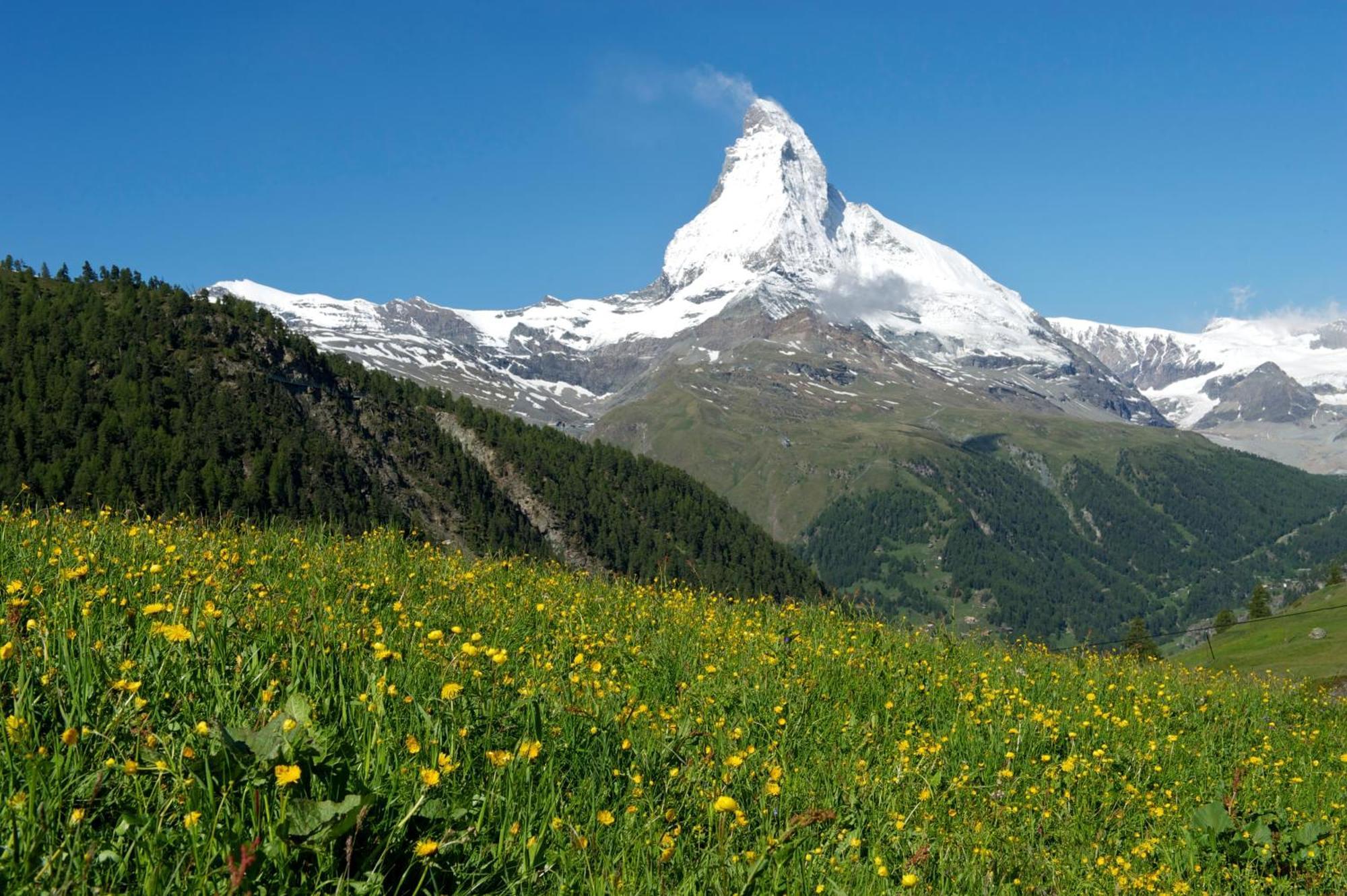 Hotel Garni Testa Grigia Zermatt Exterior foto