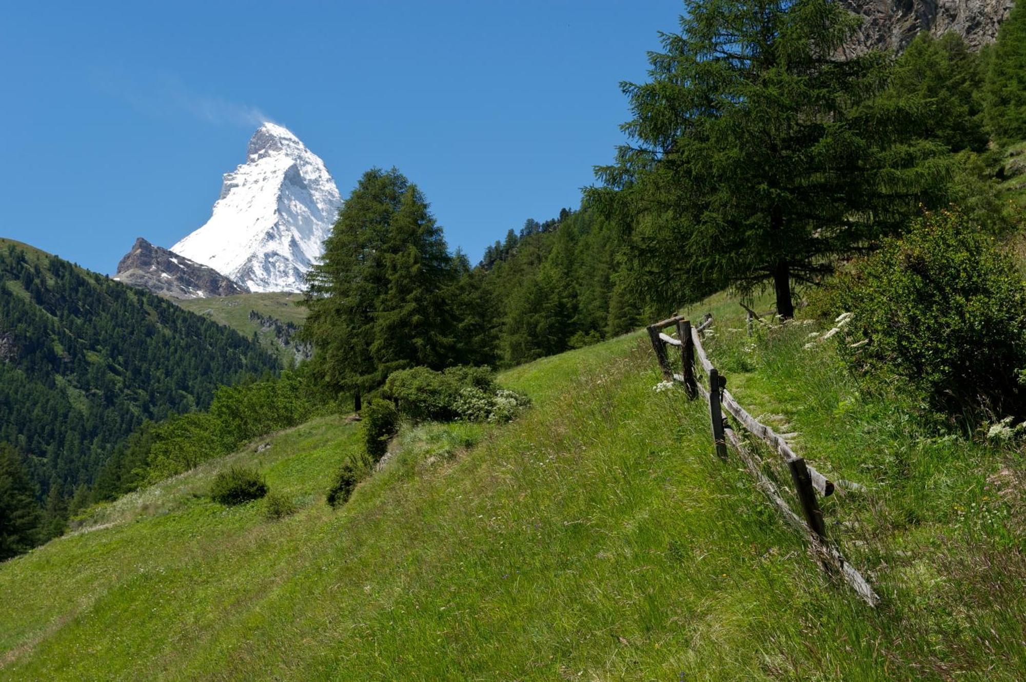 Hotel Garni Testa Grigia Zermatt Exterior foto