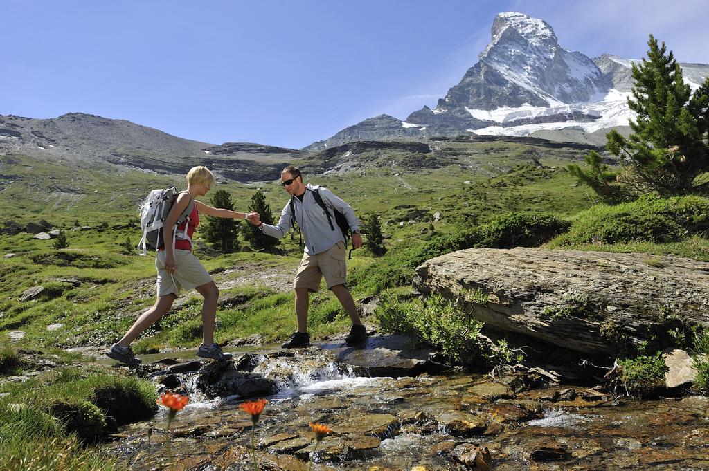 Hotel Garni Testa Grigia Zermatt Exterior foto