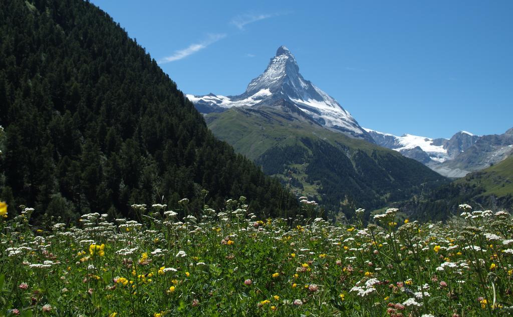 Hotel Garni Testa Grigia Zermatt Exterior foto